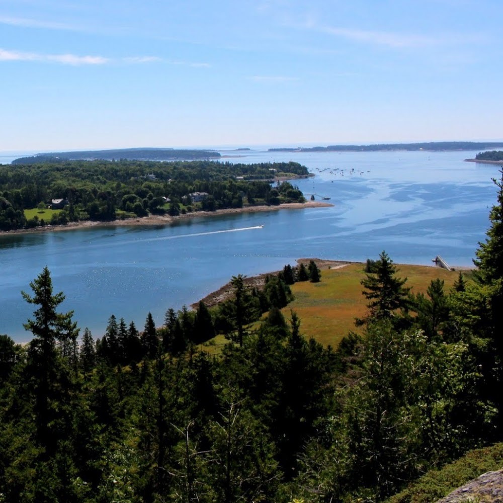 Meet your Posher, Isabella